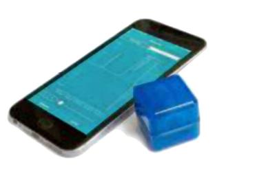 BlueDanTemp mit Smartphone App iOS
